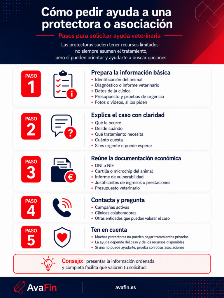 Infografia amb cinc passos per demanar ajut a una protectora o associació: preparar la informació bàsica de l'animal, explicar el cas amb claredat, reunir la documentació econòmica, contactar amb campanyes o clíniques col·laboradores i tenir en compte que l'ajuda depèn de cada cas i dels recursos disponibles.